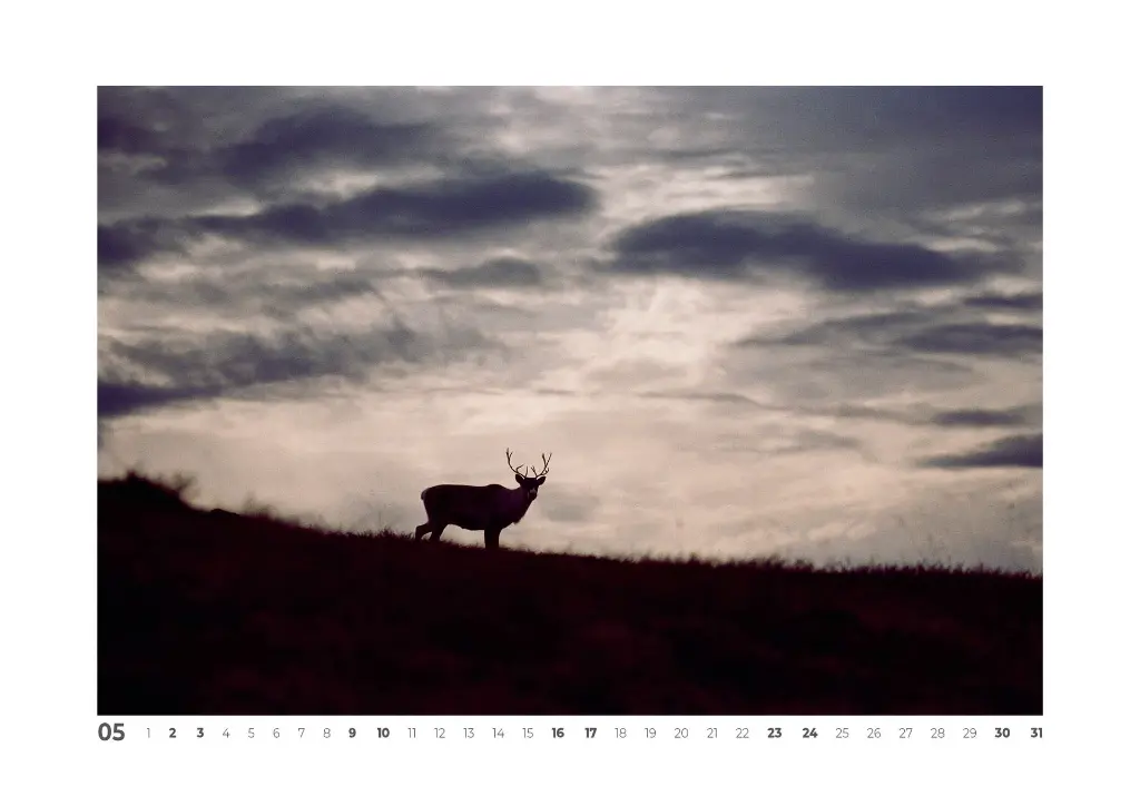 CALENDRIER 20266.webp