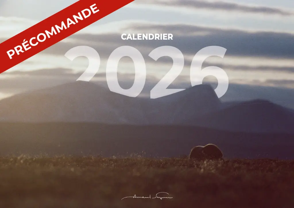 Calendrier 2026